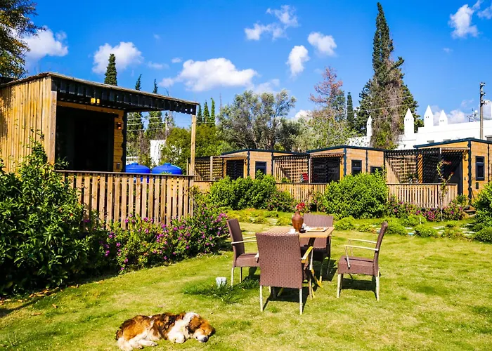 Bitez Tiny House & 博德鲁姆